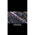 伤感励志1143