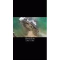 伤感励志1167