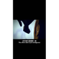 伤感励志1231
