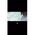 伤感励志1233