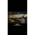 伤感励志1239