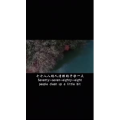 伤感励志1463