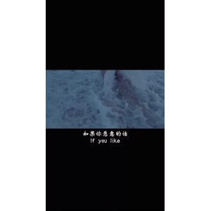 伤感励志1485