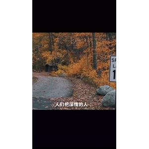 伤感励志1505