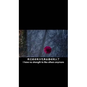 伤感励志1893