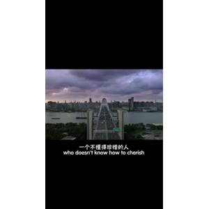 伤感励志1981