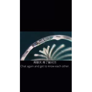 伤感励志2211
