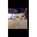 伤感励志2273
