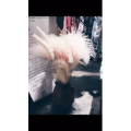 伤感励志2277