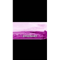 伤感励志2313