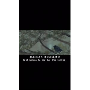 伤感励志2319