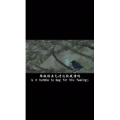 伤感励志2319