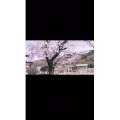 伤感励志2343