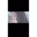 伤感励志2455