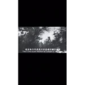 伤感励志2459