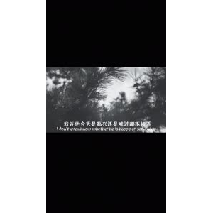伤感励志2491