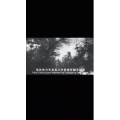 伤感励志2491