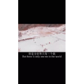 伤感励志2497