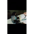 伤感励志2679