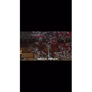 伤感励志2681