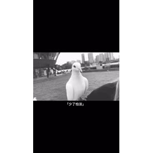 伤感励志2685