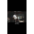 伤感励志2709