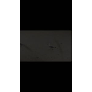 伤感励志2737