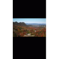 伤感励志2785