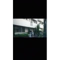伤感励志2789