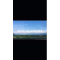 伤感励志2835