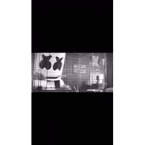 伤感励志2889