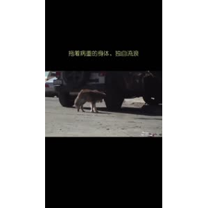 伤感励志2895