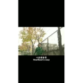 伤感励志2915