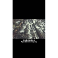 伤感励志2983