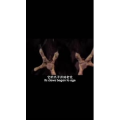 伤感励志3019