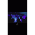 伤感励志3201