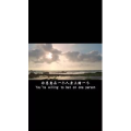 伤感励志3353