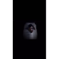 伤感励志3473