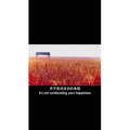伤感励志3495