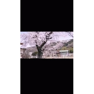 伤感励志3557