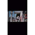 伤感励志3593