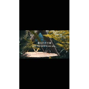 伤感励志3739