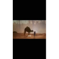 伤感励志3781