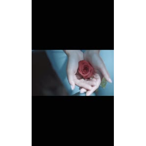 伤感励志3783