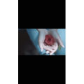 伤感励志3783