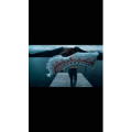 伤感励志3799