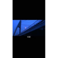 伤感励志3829