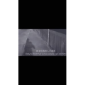 伤感励志3895