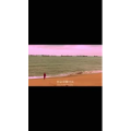 伤感励志3929