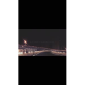 伤感励志3933